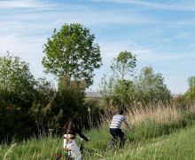 a couple of people riding bikes through tall grass
