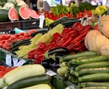 markets, vegetables, sale, market, stand, vegetables, sale, sale, sale, sale, sale, market